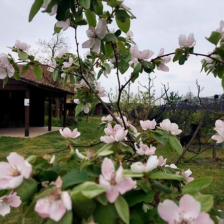 Agriturismo Vignarello Tornaco Luaran gambar
